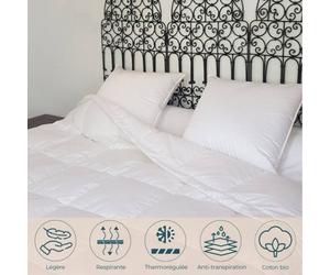 Couette fine fraicheur Canard 260 x 240 cm