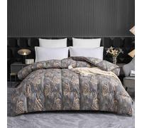 Couette Hiver 220x240 TrèS Chaude Dodo Epaisse Couette Couleur ImpriméE Hiver Edredon Velours éDredon Gonflant Adulte Duvet 2 Personnes(2,200x230cm-3.5kg)