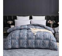 Couette Hiver 220x240 TrèS Chaude Dodo Epaisse Couette Couleur ImpriméE Hiver Edredon Velours éDredon Gonflant Adulte Duvet 2 Personnes(3,220x240cm-3.5kg)
