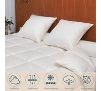 Couette Hiver - 90% Duvet d'Oie - 200x200 cm