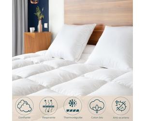 Couette King Size hiver canard - 300 x 240 cm