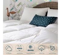 Couette King Size mi-saison canard - 280 x 240 cm