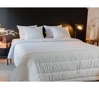 Couette légère colas normand coton bio 240x260cm