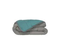 CALGARY - Couette Chaude Microfibre 400gr/m² - Beige Galet & Vert Lac - 200 x 200 cm