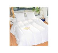 Couette spéciale été anti-transpiration 260x240