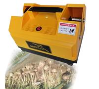 Coupe-ail électrique, extracteur de tige d'ail à double tête, gadget de cuisine pour une préparation facile de l'ail et des oignons