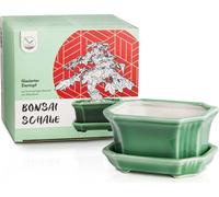 Coupe Bonsaï en céramique avec soucoupe en vert jade - Pot Bonsaï carré pour une mise en scène parfaite de votre Bonsaï d'intérieur - 11 x 6,5 x 9 cm