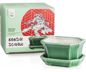 Coupe Bonsaï en céramique avec soucoupe en vert jade - Pot Bonsaï carré pour une mise en scène parfaite de votre Bonsaï d'intérieur - 11 x 6,5 x 9 cm
