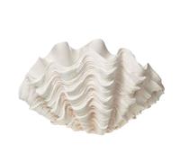 Coupe Coquillage Benitier XXL - Amadeus