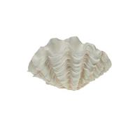 Coupe Coquillage Benitier XXL - - Blanc - Résine
