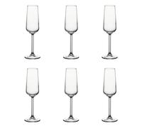 Coupe de champagne, Set de 6 pièces - Allegra, 195ml