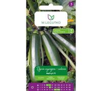 Courgette - Courgette Nefryt F1 - verte