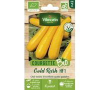Courgette Jaune Gold Rush HF1 - BIO - Vilmorin - Potagères | Courgette Gold Rush HF1 Bio | Tendre et jaune