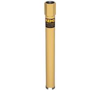 Couronne REMS spécial Picus DP TDKB-LS UNC 1 1/4 - 1815"