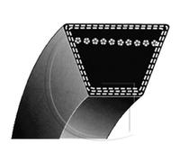 Courroie de traction tondeuse type Z19.5