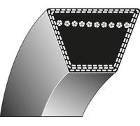 Courroie de transmission type 1-15,8 x 1829