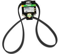 Courroie dentée trapézoïdale X-Grip de type 25DS8M1800