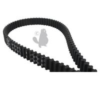 Courroie Double Denture Inter Lames Pour Coupe 102cm. Origine Stiga. L: 1600mm, Largeur: 20mm. Remplace Ds8m160020. (1350656050)