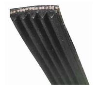Courroie Lave Linge - FAGOR - 1228J5 MAEL - Compatible Brandt et Vedette - 55X3417