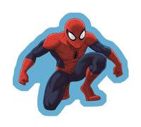 Coussin - AYMAX - Spider Man - Multicolore - Déhoussable - Asymétrique