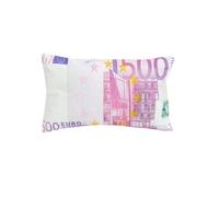 Coussin billet de banque 500 euros Oreiller moelleux 500 euros