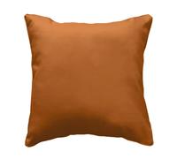 Douceur d'Intérieur – Coussin déco Essentiel 40×40 cm polyester déhoussable camel