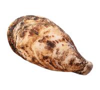Coussin en forme de coquillage - Coussin en peluche en forme d'étoile de mer et coquillage de mer, décoration d'animaux marins | Coussin décoratif ferme sur le thème de l'océan pour la maison, le