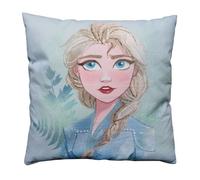 Disney Frozen 2 Sisters Coussin Double Face 40x40 cm | Enveloppe 100% Coton | Garnissage 100% Polyester | Imprimé Fille La Reine des Neiges Elsa Anna | Bleu Ciel