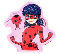 Coussin Forme MIR Ladybug,