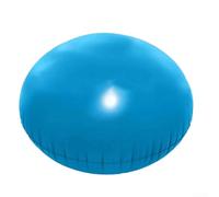 Coussin Gonflable Piscine Hivernage PVC 120cm(150cm+rope)