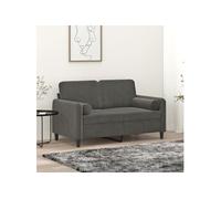 vidaXL Coussins décoratifs 2 pcs Gris foncé Ø15x50 cm Velours 349510