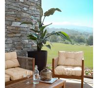 Kit de coussins pour salon de jardin capitonnés - 60 x 60 cm - Beige - Linxor