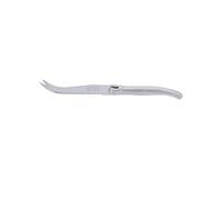 Couteau à fromage Laguiole 1.5mm - Jean Dubost - Gris - Acier Inoxydable (inox)