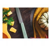 Couteau office N°112 lame lisse inox 10 cm sauge Opinel