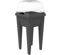 Couvercle pour mini-jardinière 'VEG&Table', transparent