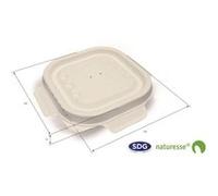 Couvercle Pulpe de Cellulose Biodégradable pour Barquette 3452 et 3453 SDG x 500 1 G