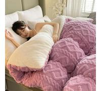 Couverture d'édredon super épaisse et chaude en polyester matelassé, literie d'hiver, douce et confortable, pour lit, couettes lestées, chaudes en peluche, parfaite pour les nuits froides