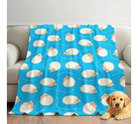 Couverture en Flanelle Cartoon Enfant avec Motif Animal Hérisson, jeté Confortable 180cm x 200cm pour lit, canapé, décoration de Chambre d'enfant