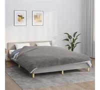 Couverture lestée avec housse Gris 200x220 cm 13 kg Tissu Gris G