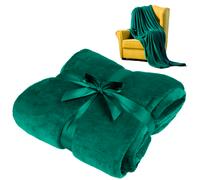Teesa Couverture Polaire 200x220 cm Vert TSA8902-2