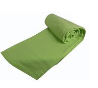 Couverture polaire thermotec ourson 450 gr anis 220x240