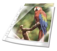 Couvertures de brochures A4, transparentes en PP, 100 pièces, avec bordure colorée, couleur blanche