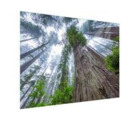 Couvre-plaque de cuisson - Planche à découper en verre trempé et plaque de recouvrement pour plaque vitrocéramique - 1 pièce - 90 x 52 cm - Hygiénique et antidérapante - Protection pour induction