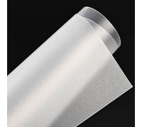 COYOUCO Feuille Plastique PP Givrée 50×600mm 0,3-2mm Bande Polypropylène Semi-Transparente Planche Mate pour Rail Séparateur Affichage Bricolage Éclairage,0.3mm