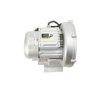 Cozyel Souffleur Régénératif 220V 50Hz Souffleur Vortex Haute Pression 180W