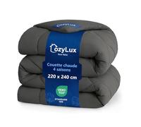 CozyLux Couette 220x240 tempérée pour Lit 2 Personnes, Édredon 300g/m² pour 4 Saisons, avec 4 Boucles D’Angle, Couverture en Microfibre pour Été et Automne, Chaud, Lavable en Machine, 240x220, Gris