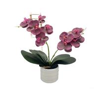 Crabop Orchidée rose artificielle dans un vase, phalaenopsis en soie réaliste avec 2 tiges, plante artificielle élégante pour salon, chambre à coucher, bureau, décoration 35 x 30 cm (sourcils violets)