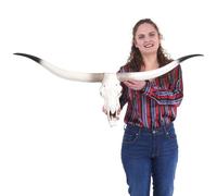 Crâne De Décoration Vache Hwc-D32, Polyresin, Trophée De Taureau Avec Cornes, 103x43x11cm Gris