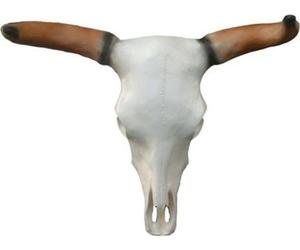 Crâne de taureau Tête de taureau Sculptures murales Hauteur 64 cm Décor Figure Décoration murale