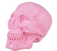 crâne décoratif plastique 18cm rose - 23533